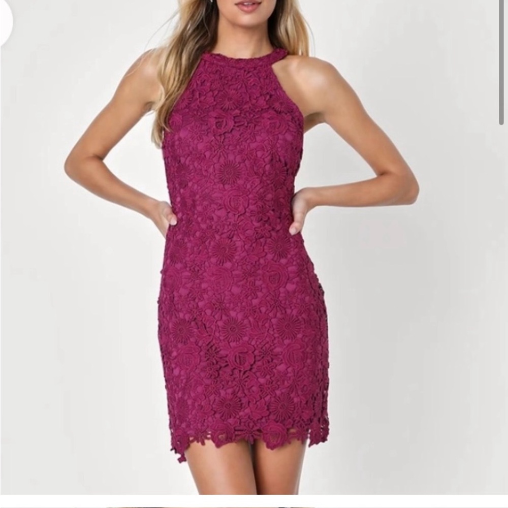 Lulus Love Poem Magenta Lace, NWOT
